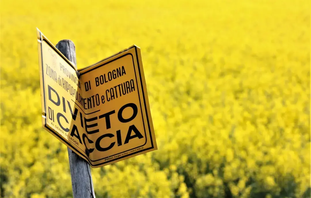 Aplicațiile ipotecare se declinează ca rate de creștere