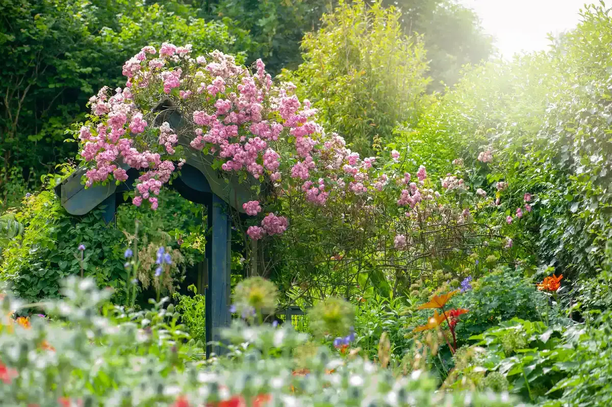 Eleganța Grădinii Englezești Găsește Acasă în Country Living Garden Club