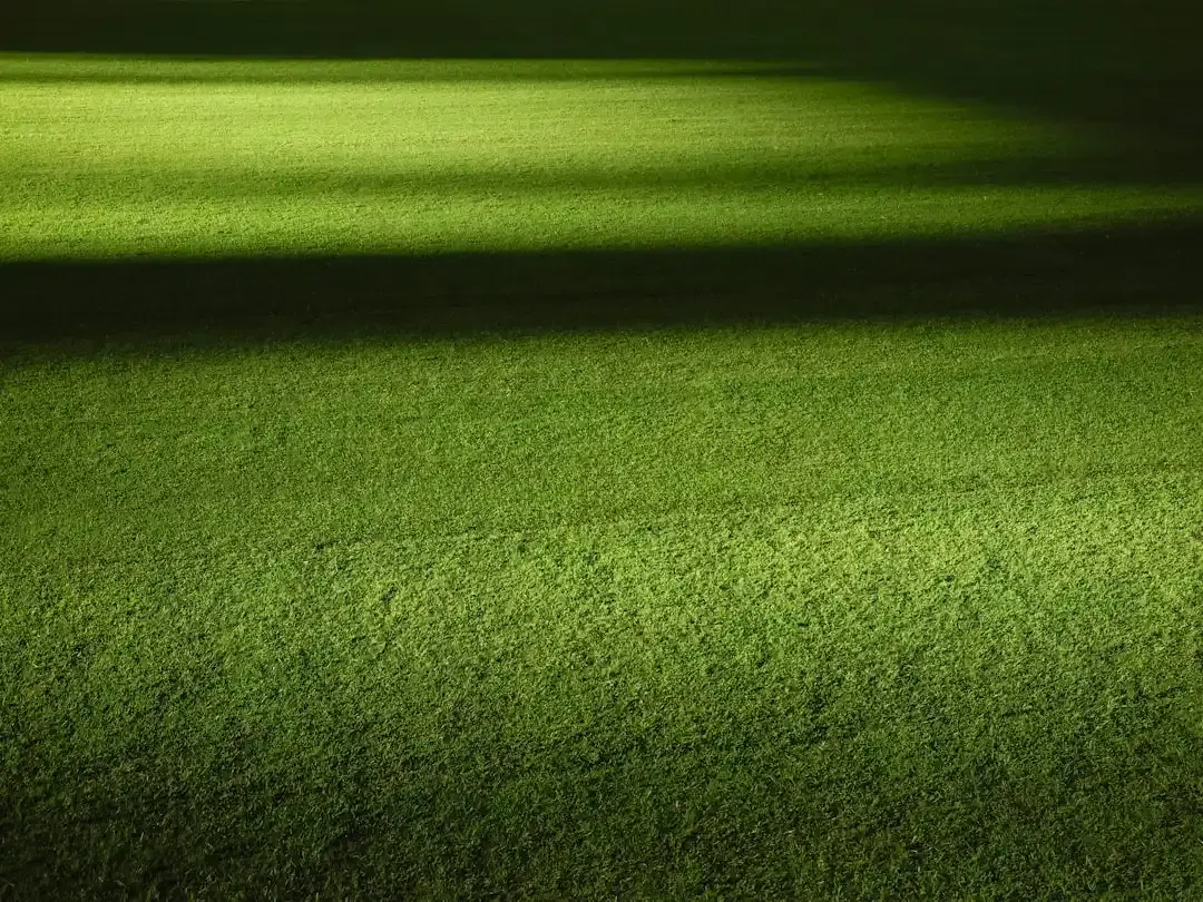Lumină verde pentru 3.250 de locuințe noi în New York