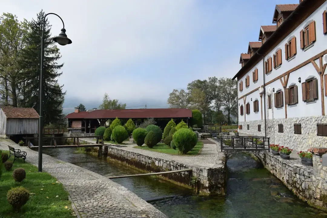 Minunea din Malvern: Grădina Carlei înflorește sub soarele verii