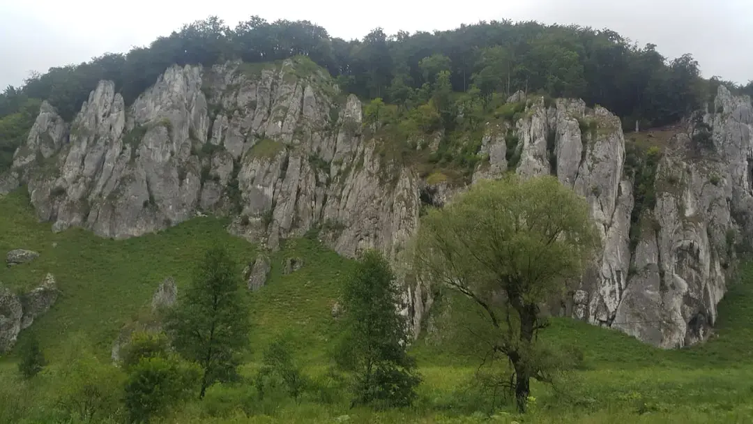 Unde să-ți păstrezi banii în siguranță între investițiile imobiliare?