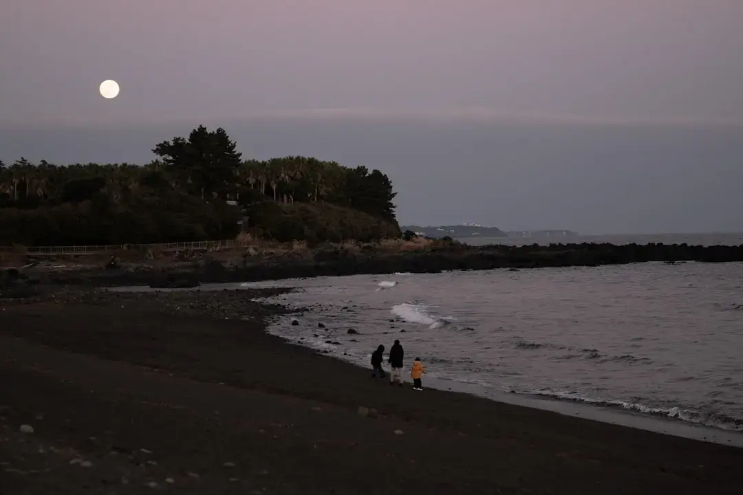 Venituri lunare mari din proprietăți închiriate
