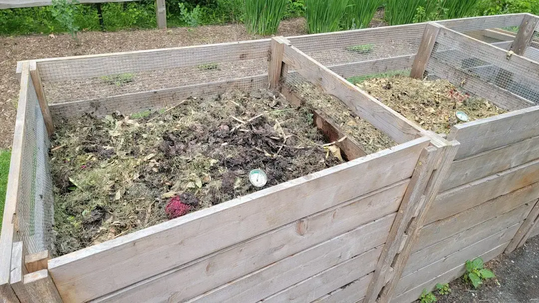 Cum să începeți un compost de casă pentru grădină