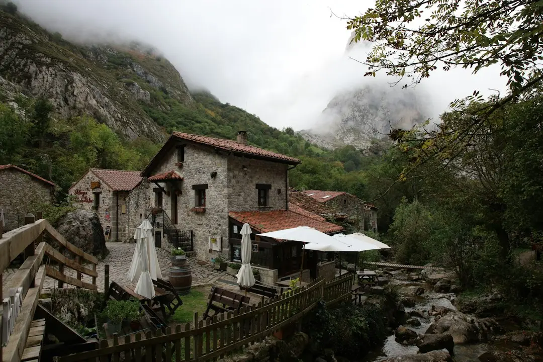 Casa Ella: O oază de liniște în inima Braziliei