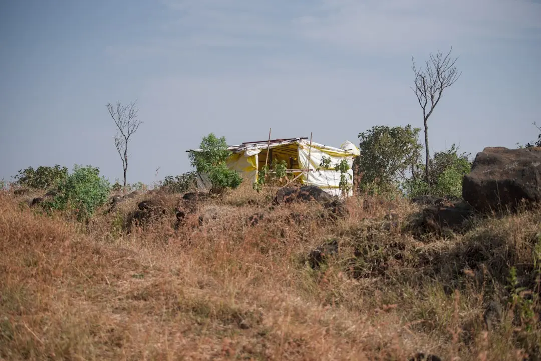 MAGMA House: unde curbele și materialele vorbește cu inima
