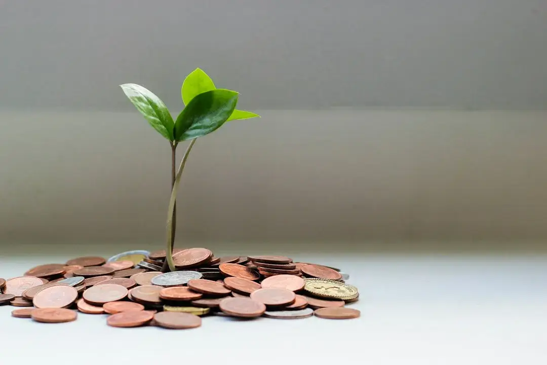 Cum reacționează investitorii la creșterea dobânzilor FED