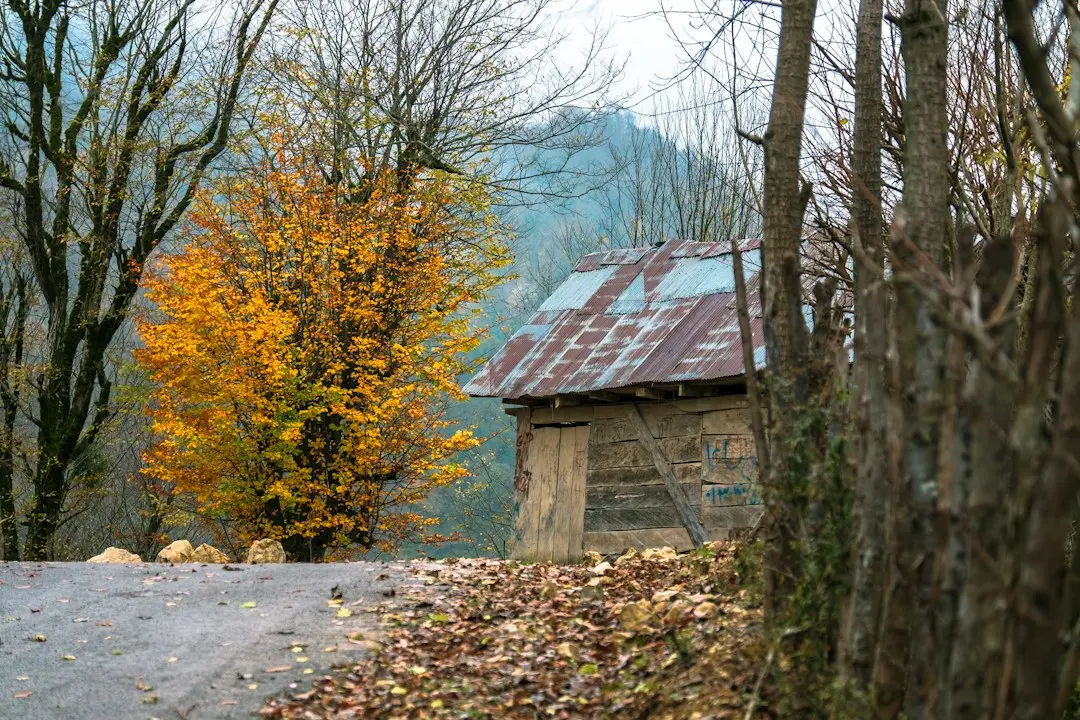 Cum să folosești casa ta pentru a începe un business de închirieri