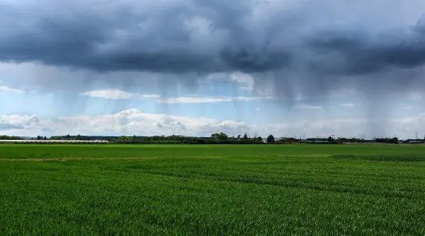 Cum să transformi un teren agricol neutilizat în sursă sigură de bani?