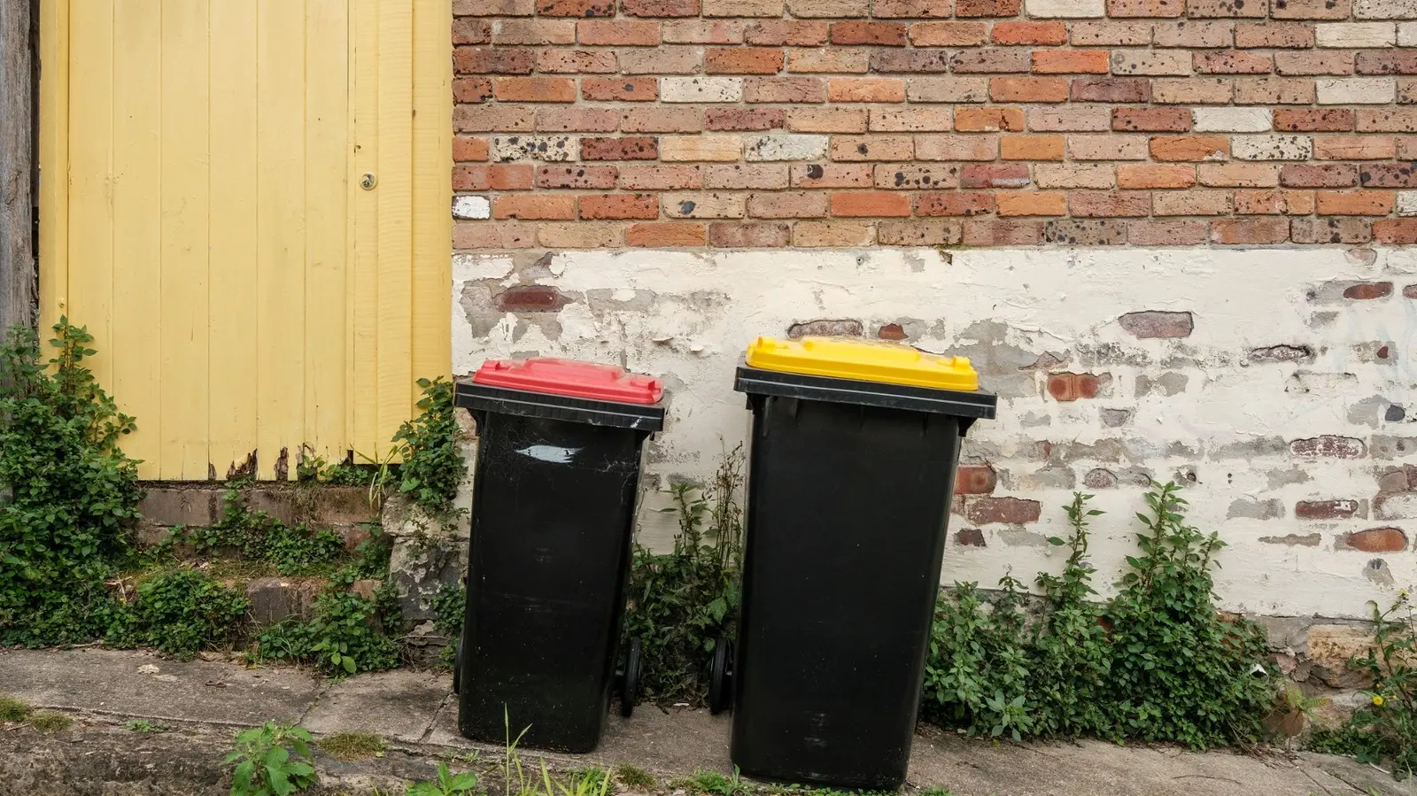 Ai săturat de gunoiul de gunoi în aer liber?