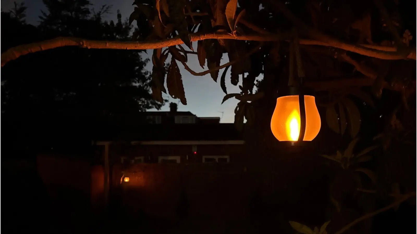 Cum transformi grădina într-o oază de lux cu lanterne solare de doar 10 lire sterline