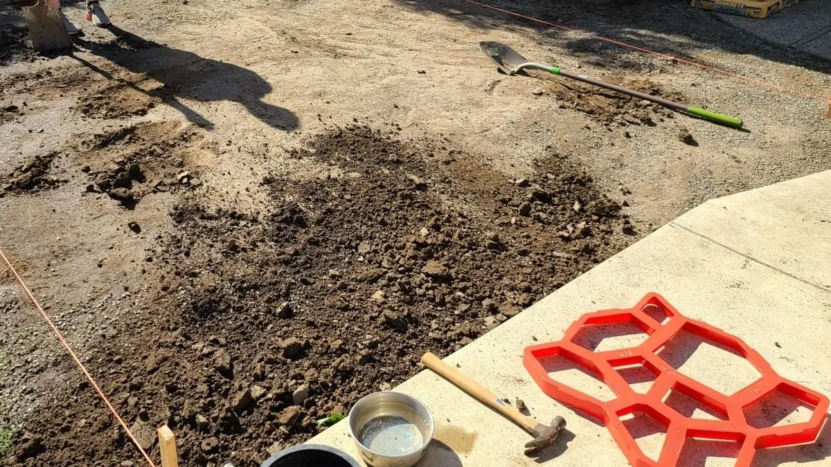 Din beton la lux: Cum transformi curtea cu mucegai plastic