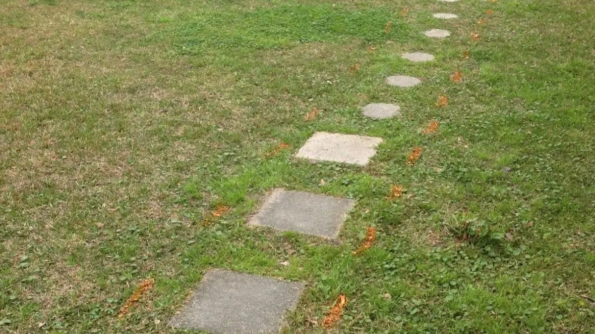Cum să-ți transformi curtea cu o singură formă pentru beton