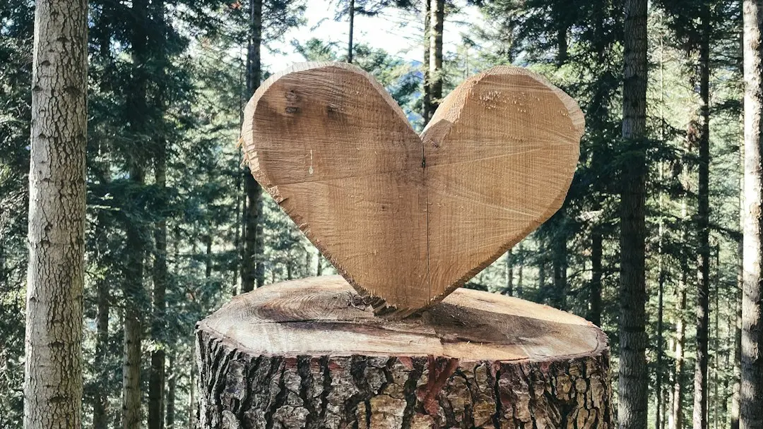 Heartwood Entry: Casă modernă cu 4 dormitoare și garaj pentru 3 mașini