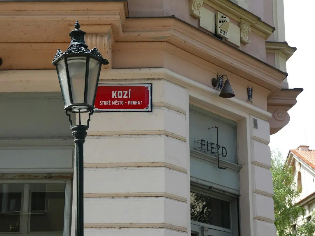 Zece ani de frumusețe: O retrospectivă a primelor fotografii grădinărite